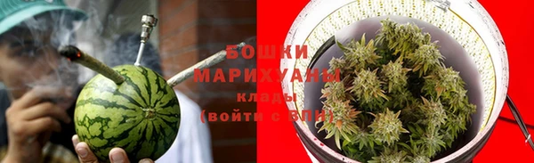 твердый Вяземский