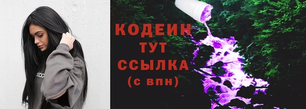 твердый Вяземский