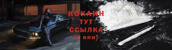 твердый Вяземский