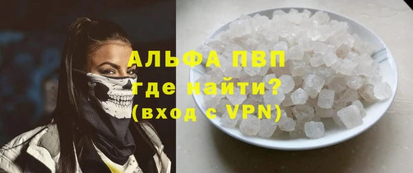 твердый Вяземский