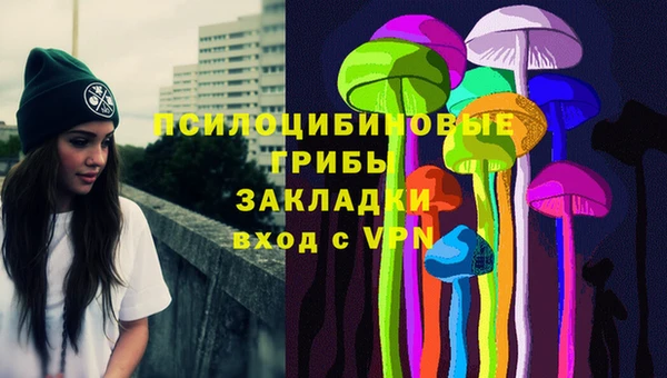 твердый Вяземский