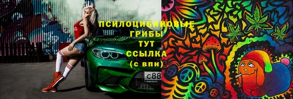твердый Вяземский