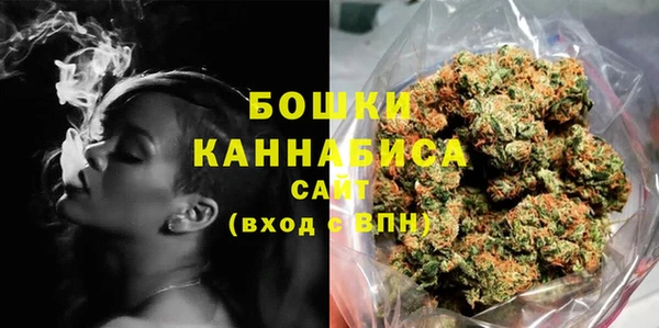 твердый Вяземский