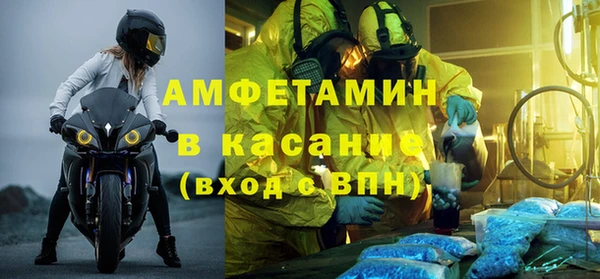 твердый Вяземский