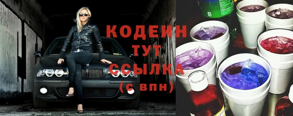 твердый Вяземский