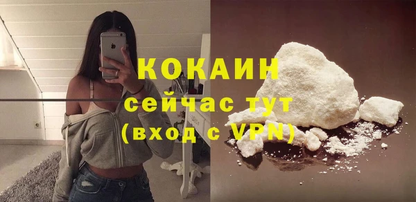 твердый Вяземский