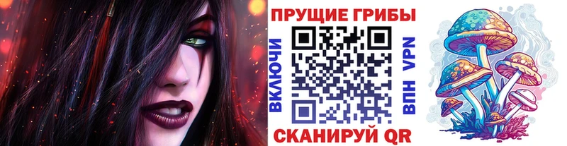 наркошоп  Саранск  Псилоцибиновые грибы Psilocybe 